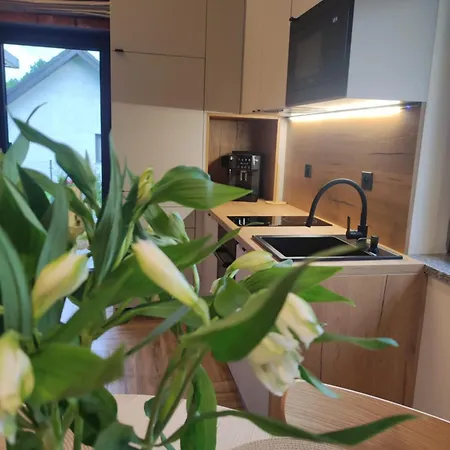 Karkonosze Pod Debem *