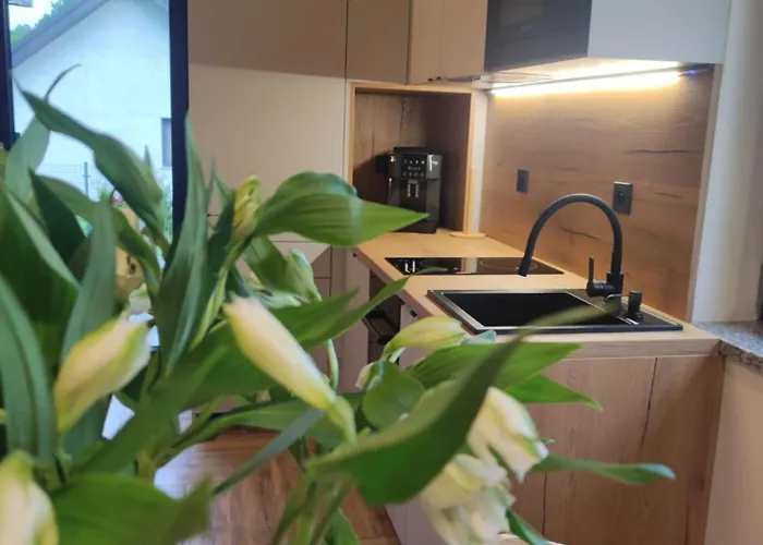 Karkonosze Pod Debem *