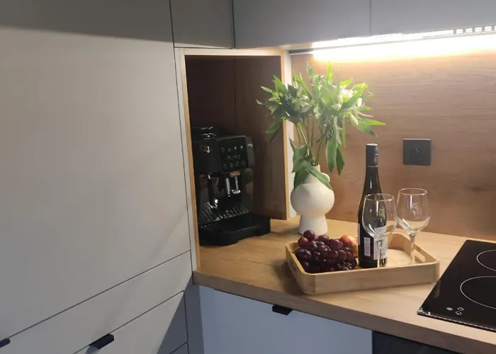 別荘 Karkonosze Pod Debem