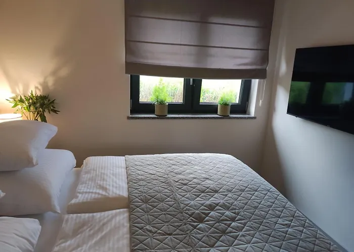 Karkonosze Pod Debem Vakantiehuis Wojcieszyce